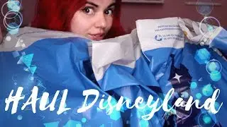 MEGA HAUL DISNEYLAND