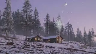 🌙 playlist 새벽 달빛 아래의 피아노 | Winter Dawn Piano 🎵