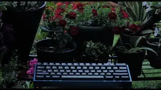 C3 Fierce Girl Switches Lubed Sound Test Video Klippe
