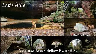 Copperas Creek Hollow Rainy Hike - 1 Waterfall + 5 Arches - Red River Gorge - Kentucky - 10/30/23