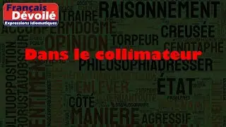 Dans le collimateur