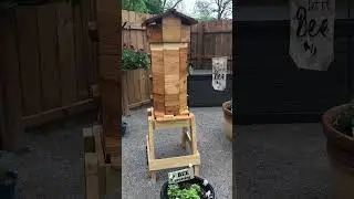 First Warre beehive - so far, so good