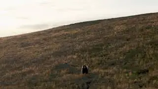 Beautiful video of a bear running . Красивое видио как бежит медведь .