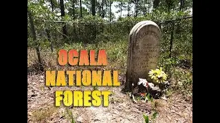 Lone Gravesite in Ocala National Forest