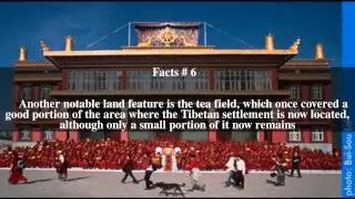 Chauntra Top # 9 Facts