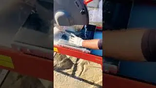 Cutting Pavers/ #nature #construction #landscaping #garden #shorts #viralvideo