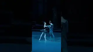 Выпускной МГАХ&rsquo;25 Появление загадочной красавицы в чёрном-Одиллии (Елизавета Сафина)-двойника Одетты