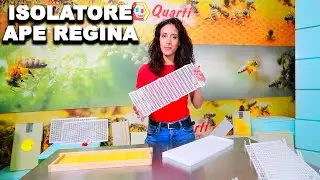 Api 1.0 metodo biologico contro la varroa Isolatore per ape regina
