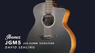 Ibanez JGM5 featuring David Sehling