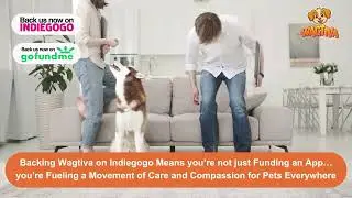 Wagtiva &mdash; The World&rsquo;s First AI-Powered Pet Care App