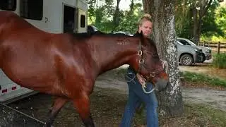 Coldspring Mares - About Us
