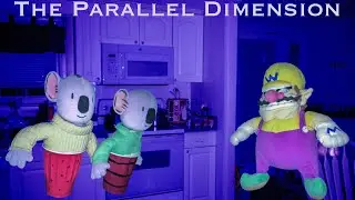 333Episode: The Parallel Dimension