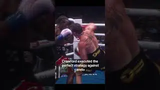 Crawford&rsquo;s Perfect Strategy vs Canelo 🔥🥊 (Lara & Crawford Highlights) #shorts