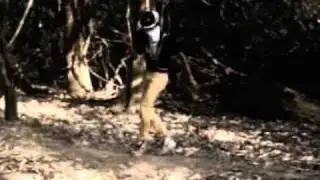 FREE-MOTION - NQV - Florest