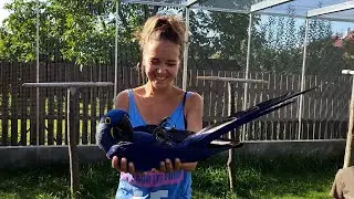 Lucka Vondráčková v Království papoušků