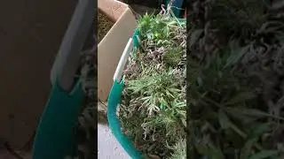 TrimPro Flat Trimmer