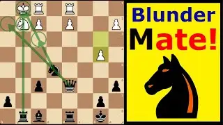 French Defense: Knight Sac, Lost Queen, Easy Mate!