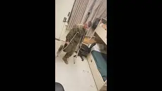 Bored marines