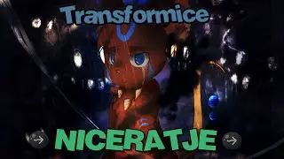 Transformice - Niceratje