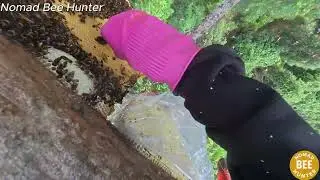Wild Honey Hunting &ndash; The Most Dangerous Job in the Jungle  67m8uWQnpE part3