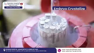 What is Vitrification in IVF? | Fast Egg & Embryo Freezing Explained