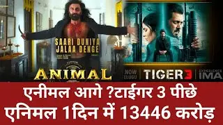 Animal Box Office Collection Day 1