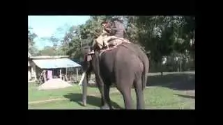 Chitwan National Park, Nepal