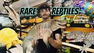 БЕЗУМНО РЕДКИЕ РЕПТИЛИИ В MIAMI REPTILE COMPANY!!!