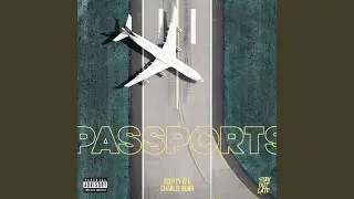 PASSPORTS