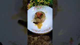 #Rasam#viralshortsouth Indian style rasam#spicy soup#indianrecipe