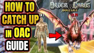 Order & Chaos online 2021 | Beginner Guide 