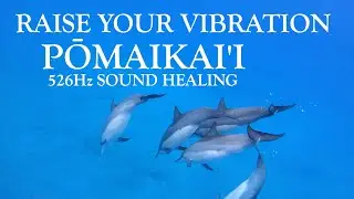 💖 Attract Love + Raise Your Vibration ✨ 524Hz  | 3 Hour Sound Healing + Meditation | 🌺 Pōmaikaʻi 🌺