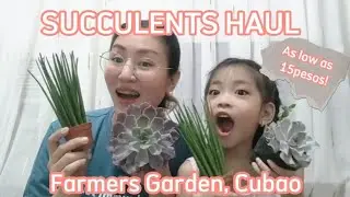 Succulents Haul | Affordable succulents from Farmer's Garden | Love, LoveJoy