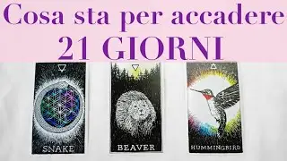 Cosa sta per sorprenderti nei prossimi 21 Giorni? Tarocchi Interattivi PRIMO QUARTO TAROCCHI