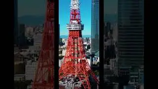 Tokyo city #tokyo #талант #cover #той #humor #dosa #automobile #тикток #рецепт #топ #edit