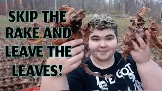 Why You Should Leave The Leaves And Skip Raking