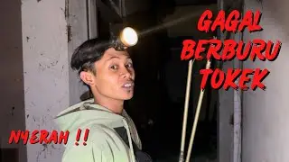 KALI INI GAGAL BERBURU TOKEK ! BEKAS KOLAM RENANG DAN RUMAH KOSONG