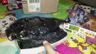 Unboxing Paket Mini 4wd Model Desert golem,, Max Breaker Merek Junhua & Gearset..