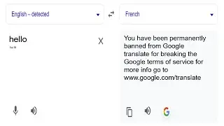 Got banned from google translate