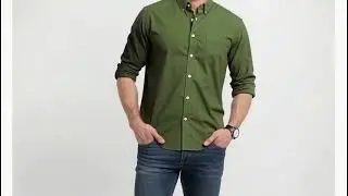 Raymond Cotton Shirt With premium Colours