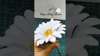Beautiful DIY Paper Daisy Flower 🌼 | Easy Paper Flower Craft #shorts #diy #daisy #papercraft