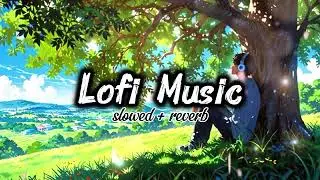 Naye Raaste |🎧| Lofi song || mind relaxing music ||🤩🎵