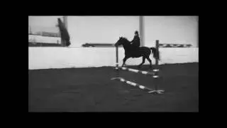 Bareback / bridleless jumping