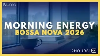 Positive Morning Bossa Nova ☕ Smooth Jazz & Sunlight Ambience for a Great Start 2026