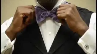 TEAM-EMI Bowtie