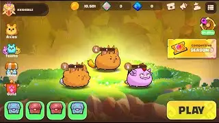 TANK REPTILE AQUA KILLER STILL EXIST ! FUNNY |UNIQUE AXIE TEAM |AXIE INFINITY CLASSIC GAMEPLAY 2024