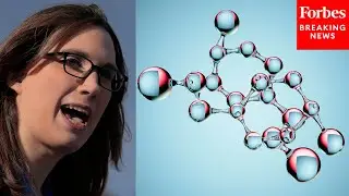 'Saves Lives And Improves Our Economy': Sarah McBride Calls To Continue Chemical Research Funding