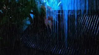 🌩️ Heavy Rain & Thunder Above | Cinematic Roof Ambience for Deep Focus & Serenity