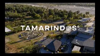 Tamarindos Farm to Table