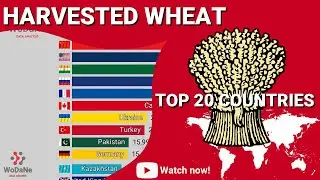 TOP 20 countries by Harvested Wheat